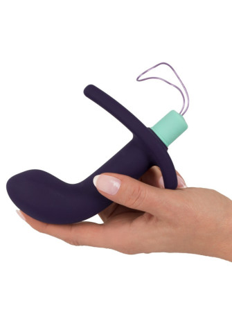 Remote Controlled Prostate Plug